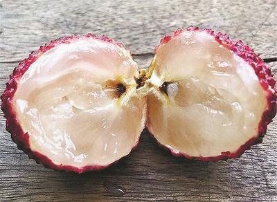 荔枝無(wú)核市民嘗鮮存疑惑 專家:通過(guò)嫁接等手段培育